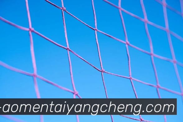 太阳城网站APP 体育赛事宣传图